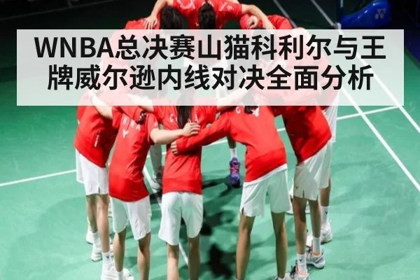 WNBA总决赛山猫科利尔与王牌威尔逊内线对决全面分析
